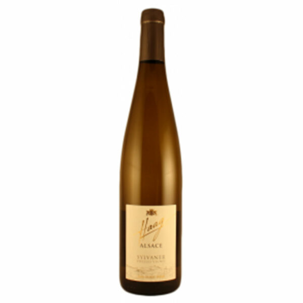 SYLVANER « HAAG Vieilles vignes »