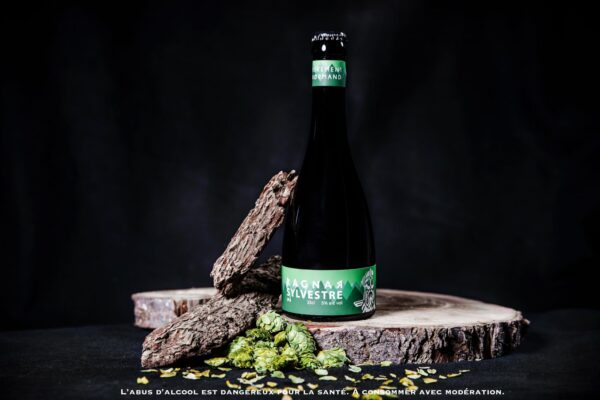 BIERE IPA – SYLVESTRE – BRASSERIE RAGNAR 33 CL