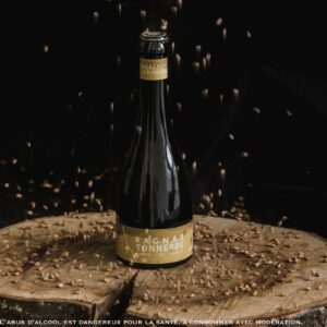 BIERE BLONDE - TONNERRE - BRASSERIE RAGNAR 33 CL